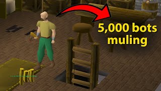 Jagex has Given F2P RuneScape to the Botters [upl. by Moffit]