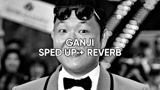 PSY  Ganji  ft Jessi   sped up  reverb   Nightcore [upl. by Nylirahs231]