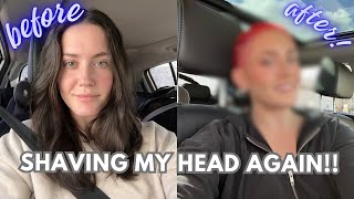 SHAVING MY HEAD amp DYING MY OWN HAIR SHAVED HEAD PINK AND RED FUN HAIR DYE TUTORIAL🩷♥️ [upl. by Harim129]