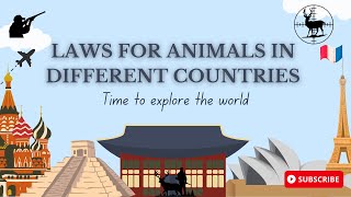 Hunting Laws In different countries  Animal shelter [upl. by Turpin]