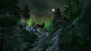 8 Hours Haunting Loon Call amp Howling Wolves On A Windy Night  No Music [upl. by Arihk]