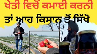 Success story of strawberry farmer in Punjab ਪੰਜਾਬ ਦਾ ਸਟ੍ਰਾਬੇਰੀ ਕਿੰਗ Ep 3 [upl. by Earised]