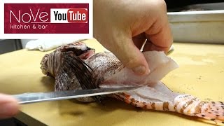 VENOMOUS Lionfish Sashimi  How To Make Sushi Series [upl. by Jacobba]