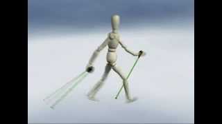 Select the right walking poles for Nordic Walking [upl. by Oivat]