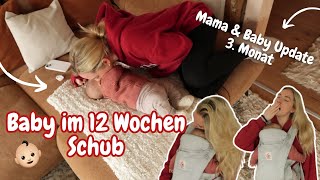 Baby im 12 Wochen Schub  Unruhige Nächte  Entwicklung  Mama amp Baby Update [upl. by Ainehta]