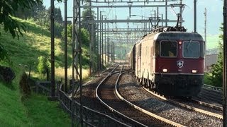 Schweizerische Re1010  SBB Re 66 11613 und Re44 in Immensee am Zuger See [upl. by Annayat]