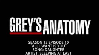 Greys Anatomy S12E10  Daughter by Sleeping At Last [upl. by Hnad]