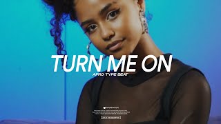 Ayra Starr x Omah Lay Afro Type beat Turn Me On [upl. by Eizus]