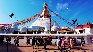 Boudhanath Stupa Kathmandu City  World Heritage Sites of Nepal  Best Time to Travel Nepal  4K [upl. by Bluefield]