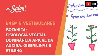 Me Salva BOT32  Botânica  Fisiologia vegetal Dominância apical da auxina Giberilinas e Etileno [upl. by Whitson851]