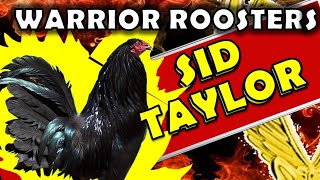 Sid Taylor 2024 Warrior roosters 🏆 Breed History and Characteristics Edge of the abyss [upl. by Eecyak]