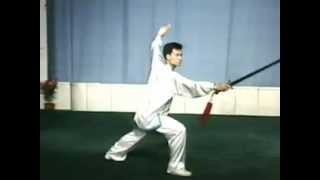 32式太極劍 背向演練  陳思坦  Taiji sword  32 forms back view  Chen Sitan [upl. by Anaidiriv842]