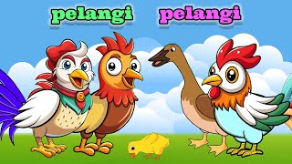 Pelangi Pelangi 🌈  Lagu Anak Anak Terbaik  Kartun Animasi Ayam Dan Bebek [upl. by Anwahsit949]