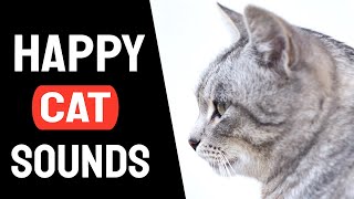 Sound To Make Your Cat Happy  Cat Sound [upl. by Gladys]