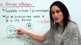 18 Sciences 9e Le cycle cellulaire [upl. by Justino821]