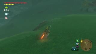 Zelda Breath of the Wild  Lynel Location 6 Akkala  Deep Akkala [upl. by Bork]