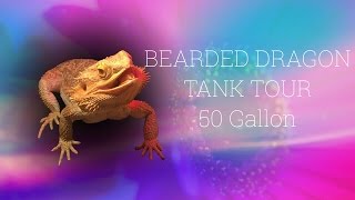 Bearded Dragon Tank Tour 50 Gallon [upl. by Eeleak]