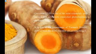 Anticancer activity of Curcumin CUR in NLCs  Video abstract ID 210484 [upl. by Witty]