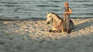 Reiten am Strand [upl. by Paver]