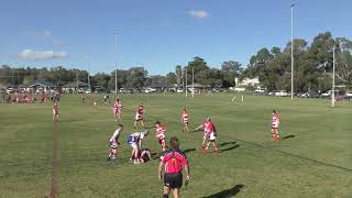 U14s Temora Dragons v Young 18 June 2022 [upl. by Anaile]