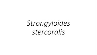 Strongyloides stercoralis Parasitology [upl. by Alisan]