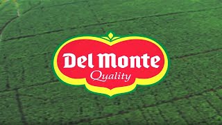 Fresh Del Monte Produce Inc Corporate Video [upl. by Harvard]