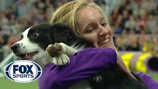 Pnk the border collie wins backtoback titles at the 2019 WKC Masters Agility  FOX SPORTS [upl. by Carlynn]