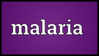 Malaria Meaning [upl. by Huda428]