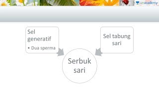 Siklus Kehidupan Angiospermae Biologi  SBMPTN UN SMA [upl. by Japheth]