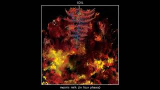 Coil  quotBanksidequot Official Remastered Audio [upl. by Eiramanitsirhc892]