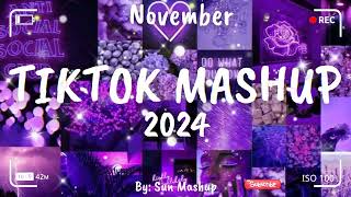 Tiktok Mashup November 💜2024💜 Not Clean [upl. by Smart]