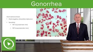 Gonorrhea – Infectious Diseases  Lecturio [upl. by Pierro]