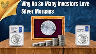 Why Do So Many Investors Love Silver Morgans  US Gold Bureau [upl. by Navek433]