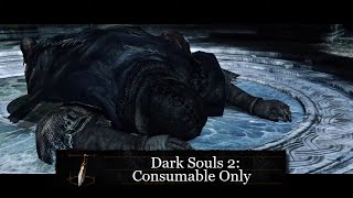 Dark Souls 2 Consumable Only Run part 8 [upl. by Kidd]