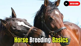 Horse Breeding Basics What Every Owner Should Know secretanimals secretanimals [upl. by Nohtan]