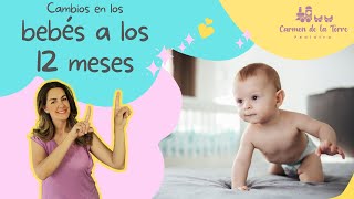 BEBES DE 12 MESES ¿QUÉ ES LO NORMAL [upl. by Cornelius85]