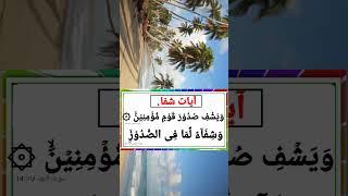 Ayat E Shifa  Ayat E Shifa Ki Tilawat  Shifa From All Kind Of Diseases  By Hfiz Hamza khalil [upl. by Ellinnet]