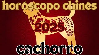 Horóscopo Chinês 2025  Cachorro [upl. by Nnylsaj]