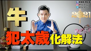 2021年  十二生肖  属牛太歲不化解一整年運勢堪憂  值太岁如何化解  怎么化太岁 [upl. by Nyliak]