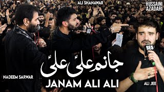 janam ali ali  nadeem sarwar live 2023  ali shanawar  ali jee  new noha 2023 [upl. by Eenttirb754]