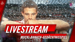 Livestream MuckiBanachGedächtnisspiel 1 FC Köln – VV St Truiden  1 FC Köln [upl. by Alehtse]