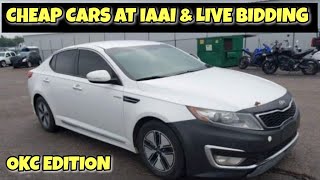 IAA Insurance Auto auction Live Oklahoma City Deals [upl. by Huppert]