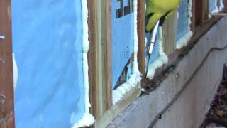 DIY Spray Foam Insulation  Poor Mans Spray Foam [upl. by Hgielime]