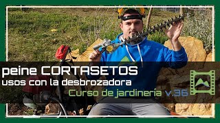 3 maneras de PODAR 🌳✂🌱 con el peine CORTASETOS Capítulo 36  Curso básico de Jardinería 2020  LdN [upl. by Lolly130]