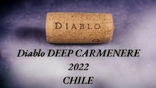 EL NUEVO VINO CASILLERO DEEP CARMENERE 2022 CHILE [upl. by Zink987]