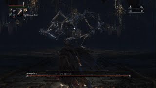 Bloodborne  Amygdala Defiled Chalice Boss Fight [upl. by Accisej]