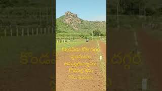 Plots sale near konsaveedu kota phirangipuram కోటిపల్లి శ్రీను 9966184664 [upl. by Atenik]