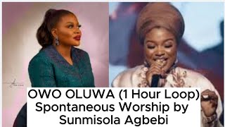 Owo Oluwa Cover by Sunmisola Agbebi 1 Hour Loop spontenousworship gospel [upl. by Remat]