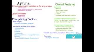 Asthma Precipitating Factors and Clinical Features [upl. by Enileuqcaj]