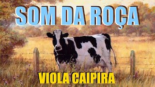 O Som Da Roça  De 01 HORA DE MODÃO DE VIOLA  Viola CaipiraSertanejo Raiz [upl. by Ettesel]